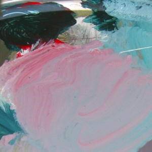 crop1